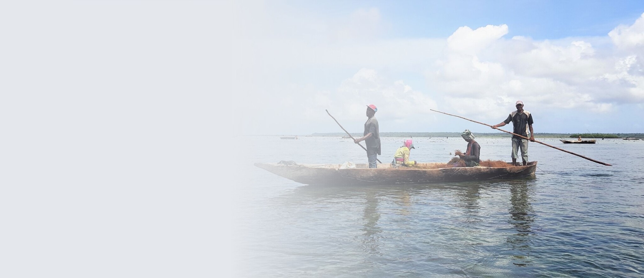 Carragelose pescador algas