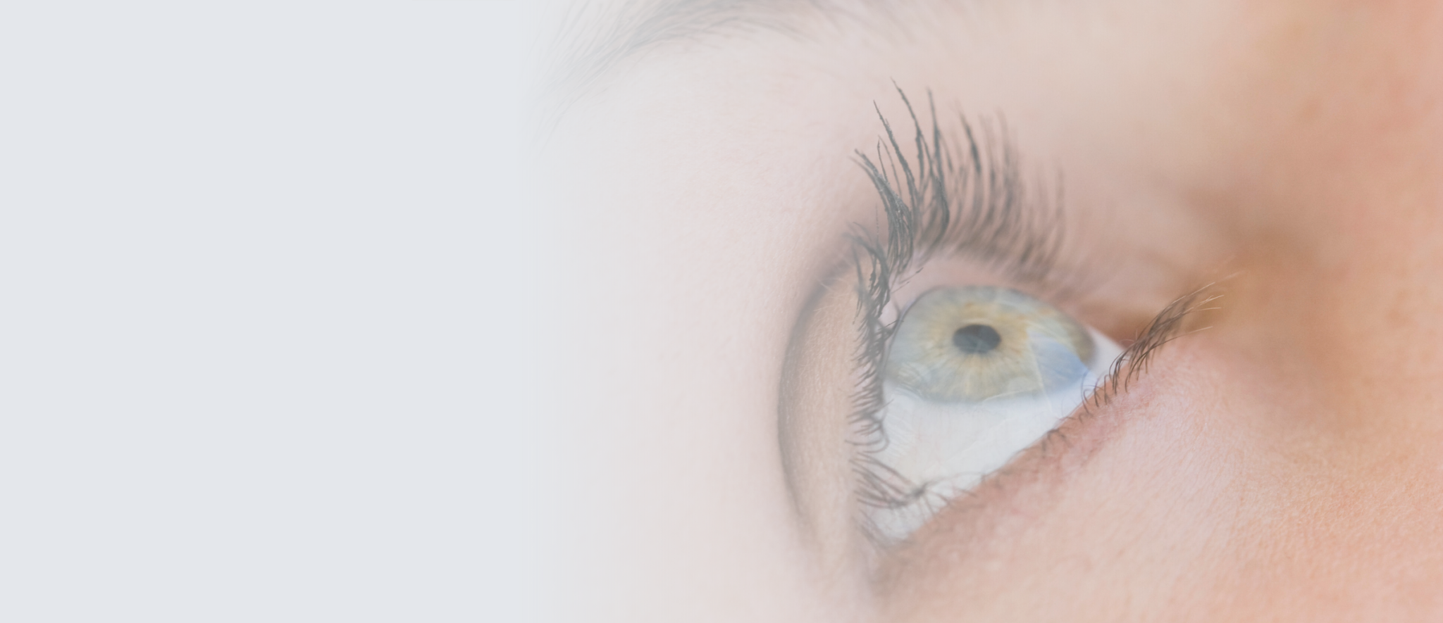 por área terapêutica